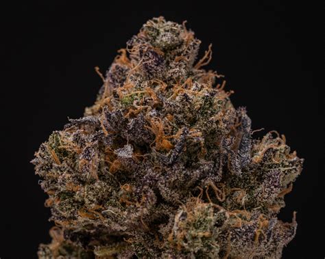 Gmo sherb crasher strain - About this Hybrid Strain. Sherb, also known as “Super Sherb,” is an Indica-dominant hybrid from Arizona Nectars Farms. It is a cross of GMO or Garlic Cookies, and Sunset Sherbert. The Sherb nuggets have fern and olive-green leaves, swirled upward in bunches, resembling artichokes. Braids of sticky, gold trichomes appear to outline the buds ...